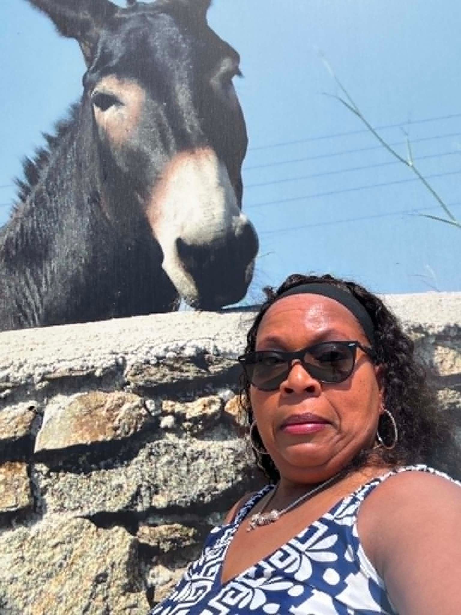 Ms. Mia posing in front of a large donkey mural in Mykonos