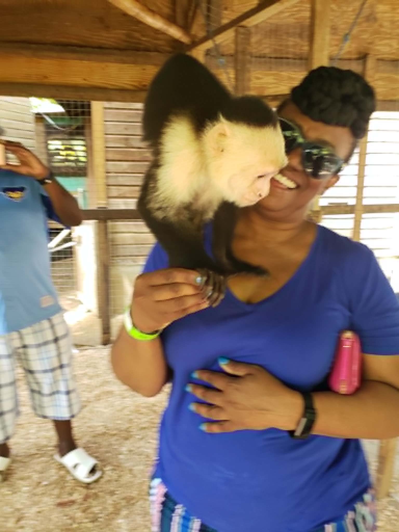 Woman laughing as a capuchin monkey climbs on her shoulder