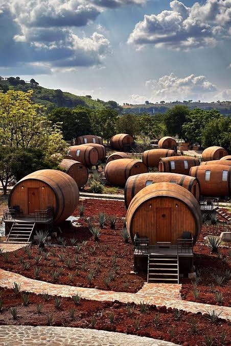 Aerial view of barrel-shaped suites at Matices Hotel de Barricas surrounded by agave fields