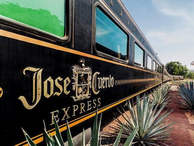 VIP on the Express Train